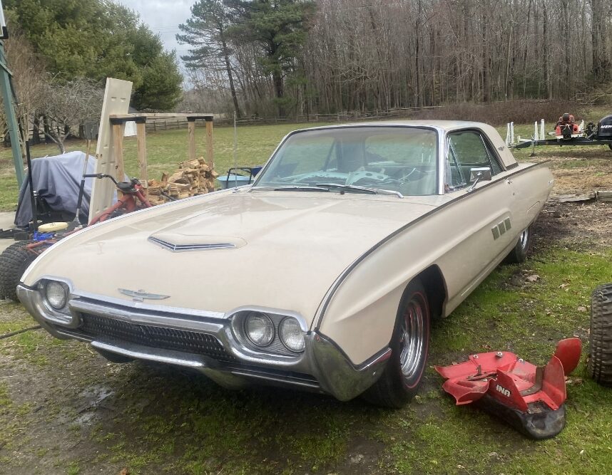 Screenshot_20251123_121040_Gallery